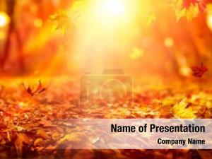 Autumn Season