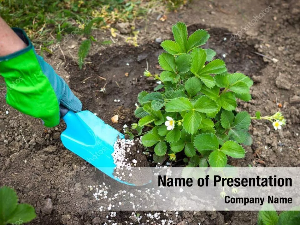 Environmentally Friendly Agriculture