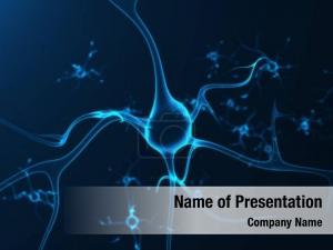 Nerve Cell PowerPoint Template