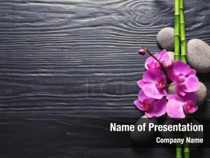 Orchid On Bamboo PowerPoint Template