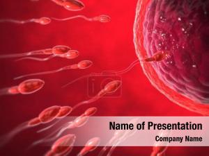 Sex Cells PowerPoint Template