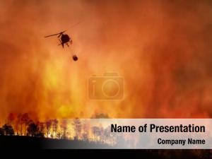Fire In The Forest