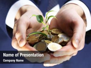 Man Hands Holding Money Tree PowerPoint Template