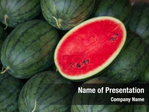Water Melon PowerPoint Template